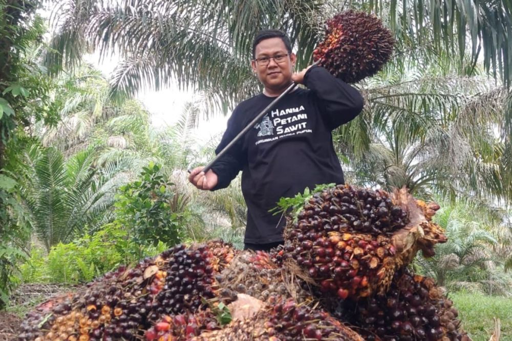 petani sawit-5