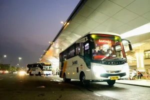Bus Damri