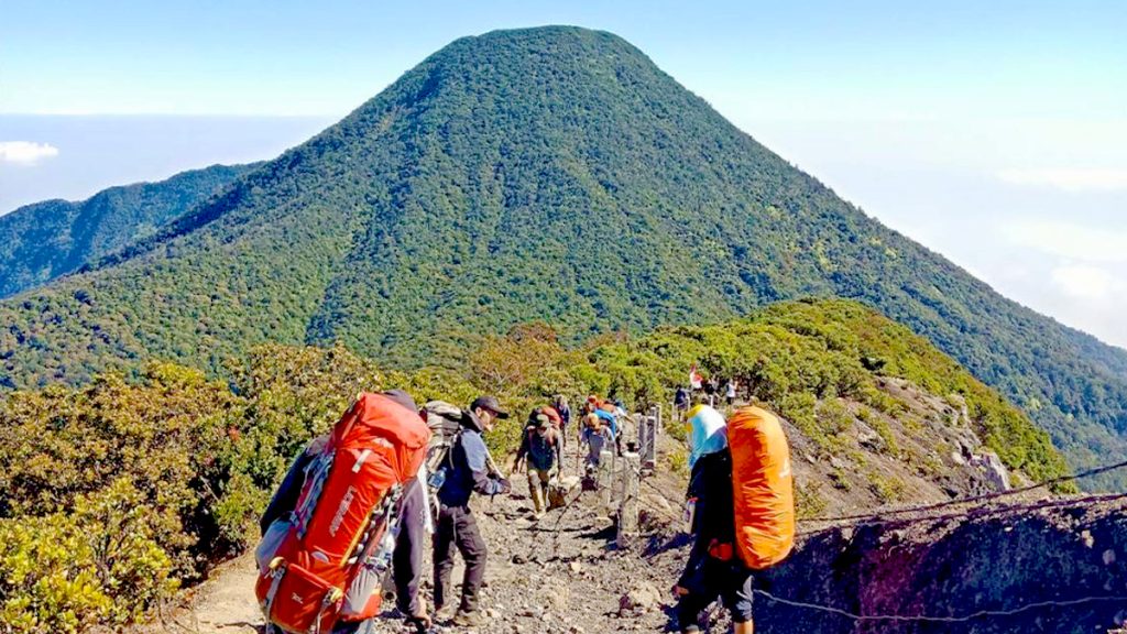 Gunung Pangrango_3